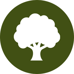 Ícone