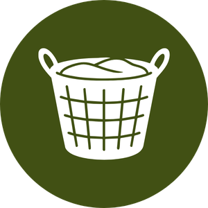 Ícone