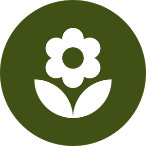 Ícone