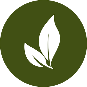 Ícone